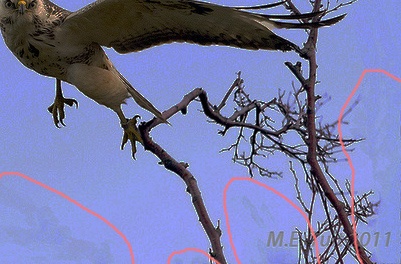 Afbeeldingslocatie: http://tweakers.net/ext/f/jNiWn1mRMa8uC7ADN5Nb5AGD/full.jpg