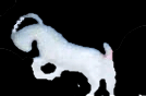 Afbeeldingslocatie: https://tweakers.net/ext/f/jeWrHbIFC6DmggIOHdUIwpSq/full.png