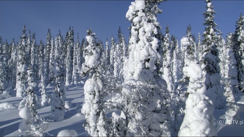 Afbeeldingslocatie: https://tweakers.net/ext/f/jwQB6woUEmEWZXq58sxuEW3e/full.jpg