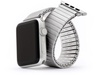 Speidel silver