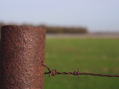 Afbeeldingslocatie: http://tweakers.net/ext/f/k9vUYeS2fLOcEymmLt9xY2Aq/medium.jpg