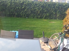 Afbeeldingslocatie: https://tweakers.net/ext/f/kHTcbpdAICJDRFm0kUrnqFXp/medium.jpg
