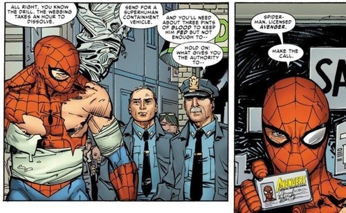 Spidey Avenger