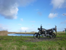 DECOY88