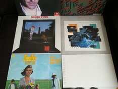 Gekochte LP's - I