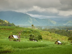 Bewerk hier elkaars foto - Bali