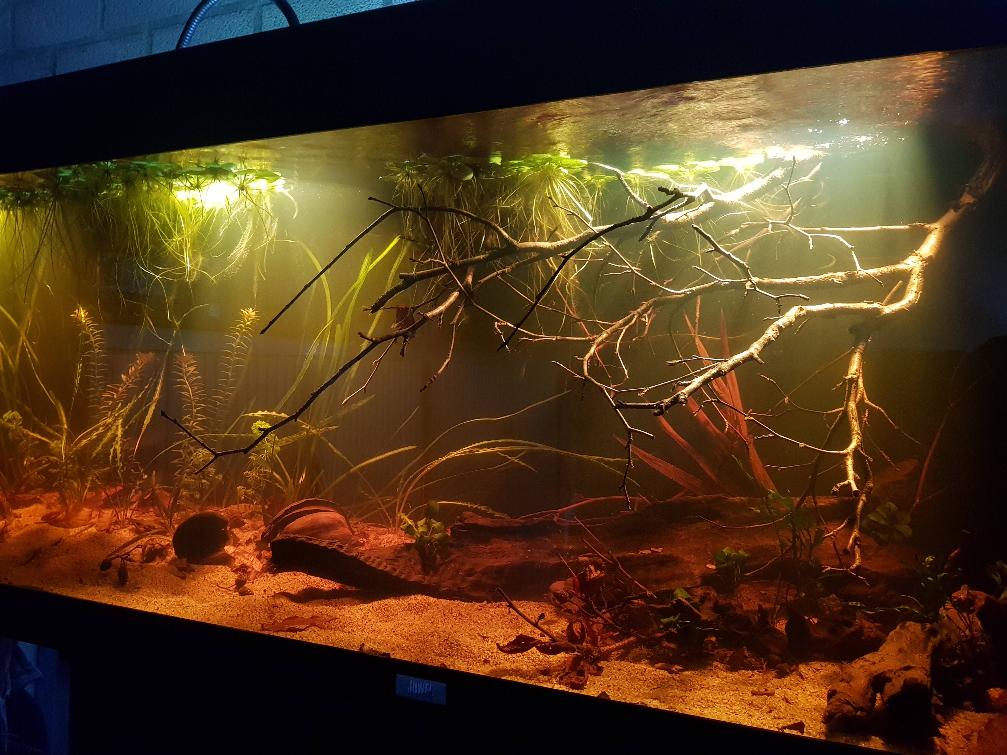 Afbeeldingslocatie: https://tweakers.net/ext/f/ku11ZkMoIjlfl5sy4HND0kPA/full.jpg
