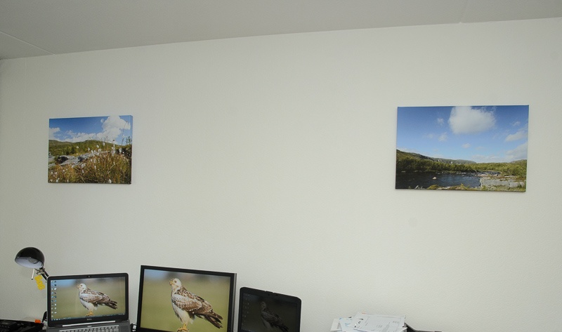 Afbeeldingslocatie: http://tweakers.net/ext/f/l4yrLdvIn0uAvLppfCRJkG9W/full.jpg