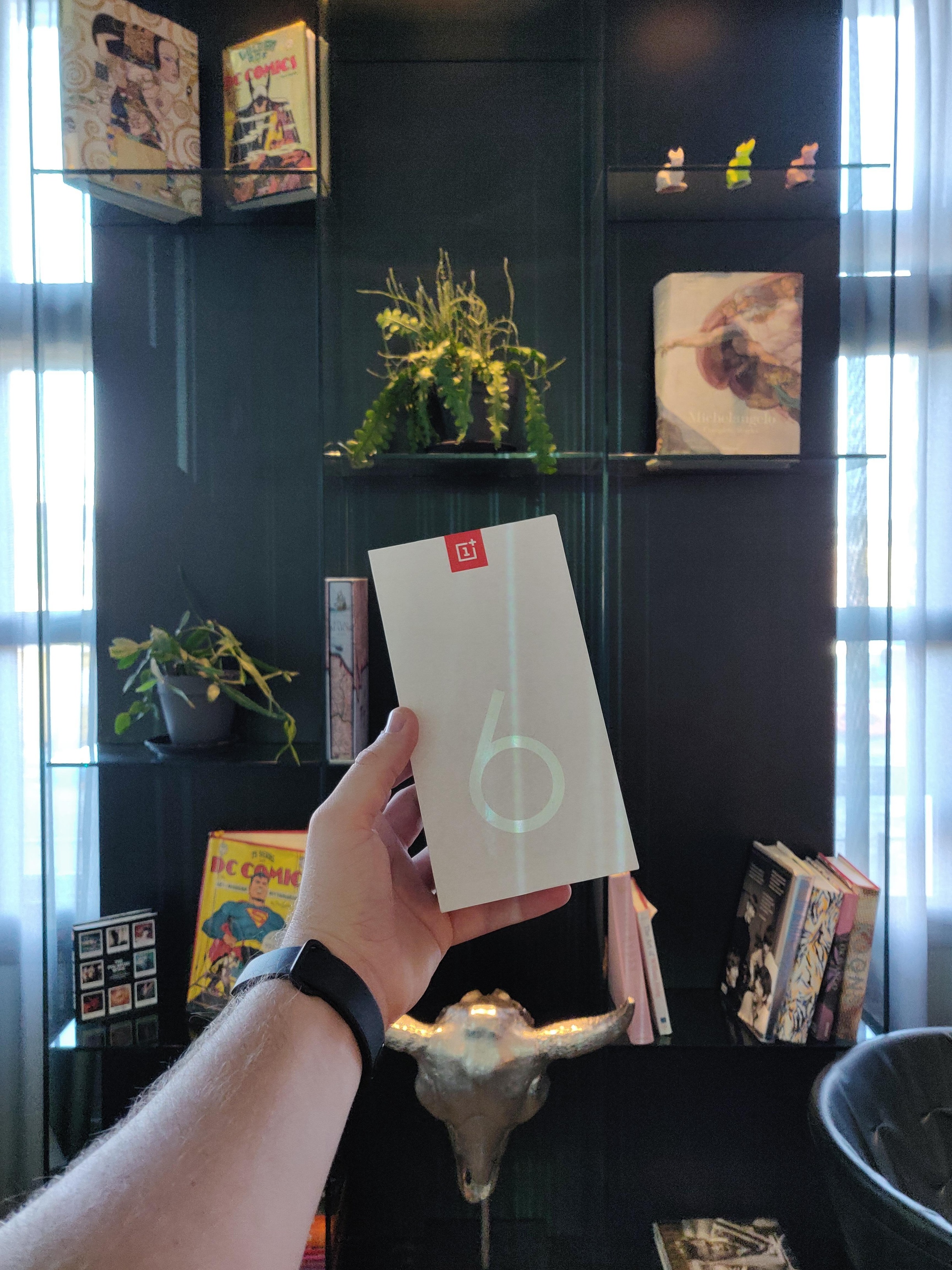 OnePlus 6T pop-up