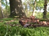 Afbeeldingslocatie: http://tweakers.net/ext/f/lhq7F0Dzszxrm1W5NE6bQiOT/thumb.jpg