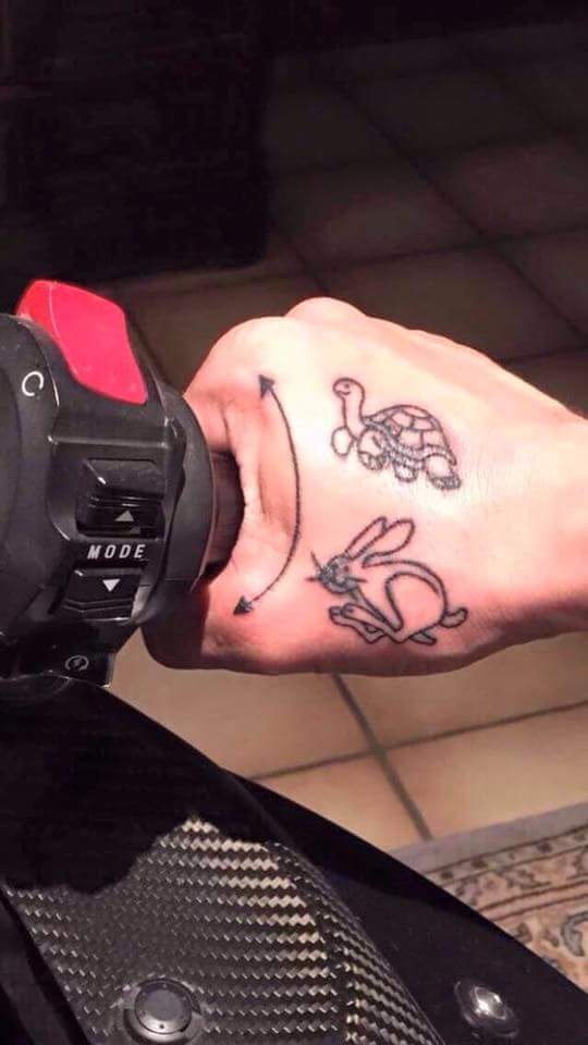 Haas en Schildpad pols