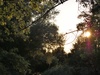 Nikon AF-S DX 55-200mm f/4-5.6G ED VR op D40;75mm;f/7,1;1/800s;iso200;0-staps;VR;D-Lighting.