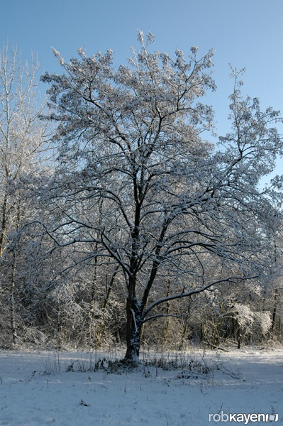 Afbeeldingslocatie: http://tweakers.net/ext/f/lvA0L13tMxLTFB3lVULPnstH/full.jpg