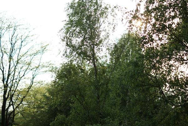 http://tweakers.net/ext/f/m9YDb5KfTWUEAXlY1nJR928L/full.jpg