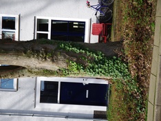Afbeeldingslocatie: http://tweakers.net/ext/f/mE9igSkBpaTwV6IkhrYqej91/medium.jpg