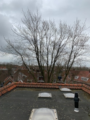 Afbeeldingslocatie: https://tweakers.net/ext/f/mHsw2pLe1A05bftP1Bm9zLMm/full.jpg