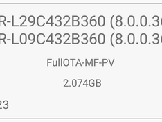 FF1