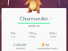 Charmander 100% IV Charmander 100% IV