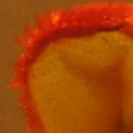 http://tweakers.net/ext/f/msWg6uqL5huYcA9iKQLmJfCX/full.jpg http://tweakers.net/ext/f/msWg6uqL5huYcA9iKQLmJfCX/full.jpg