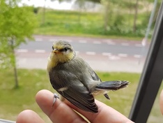 Afbeeldingslocatie: https://tweakers.net/ext/f/mt78Ho1EaCNo2Ap6RgjyjvEF/medium.jpg