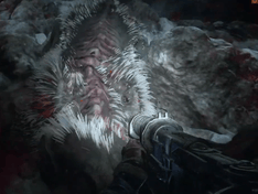 kalende mutant kalende mutant