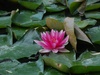 D40/ 55-200 mm VR; 1/200s; f/10; ISO-400; VR; AF; 200mm