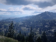 rdr2-2 rdr2-2