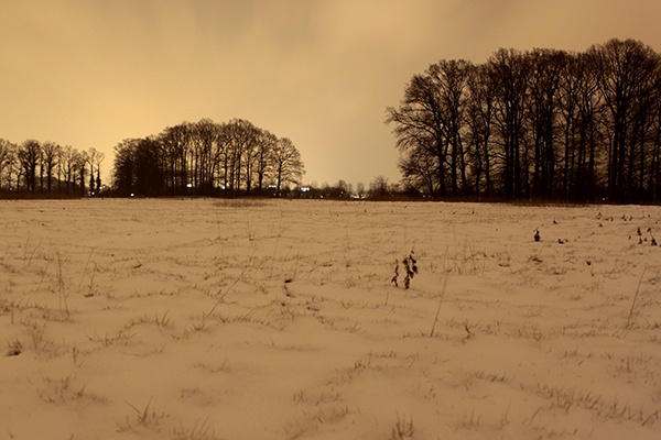 Afbeeldingslocatie: http://tweakers.net/ext/f/nInnjpiOiAlPADhFe6SsNco6/full.jpg