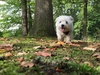 Afbeeldingslocatie: http://tweakers.net/ext/f/nMsM52R8sWguN86XaaxZwOwA/thumb.jpg