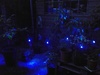 Lightify tuin 2