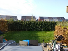 Afbeeldingslocatie: https://tweakers.net/ext/f/nmA7dXNWdsTGsYBaX4ziUJR9/medium.jpg