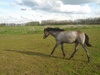 Foto gemaakt met de SGN