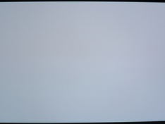 White front