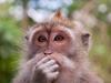 Afbeeldingslocatie: http://tweakers.net/ext/f/oODfkz1gF0eqAUNKg8qsUjS1/thumb.jpg