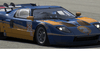4x racing Ford GT