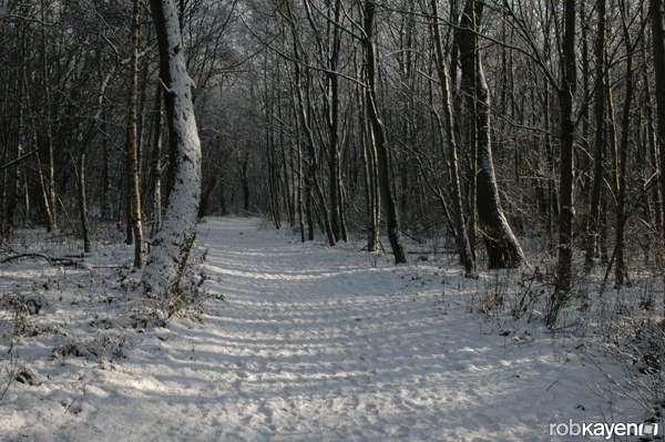 Afbeeldingslocatie: http://tweakers.net/ext/f/oY4uBw9SdfpDystheywl8eXH/full.jpg
