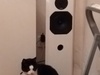 Afbeeldingslocatie: https://tweakers.net/ext/f/ooS3xXMd7DShCPSWpYyDt3GW/thumb.jpg