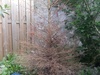 http://tweakers.net/ext/f/p3inmDDbXlGoOJp6NAmerqhH/thumb.jpg