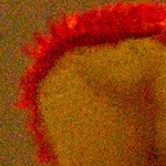 http://tweakers.net/ext/f/pDHo0FPtFrXtVb4uDLXgGNAK/full.jpg http://tweakers.net/ext/f/pDHo0FPtFrXtVb4uDLXgGNAK/full.jpg
