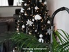Afbeeldingslocatie: https://tweakers.net/ext/f/pX6qgpcaYtyrLYGs81ufgYDO/thumb.jpg
