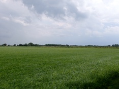 Kerktoren veraf