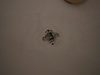 Afbeeldingslocatie: https://tweakers.net/ext/f/qQvmpsego0vYRsrEuETdbaTP/thumb.jpg