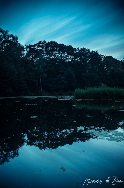 Moonlit Lake