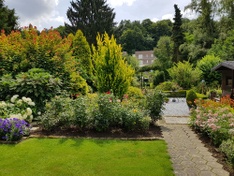 Foto overdag tuin