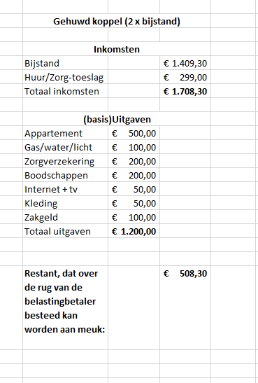 Bijstand subsidie