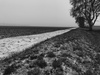 Afbeeldingslocatie: https://tweakers.net/ext/f/rpANepgVbRCGr3Kf21ommjIQ/thumb.jpg