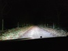 Led dimlicht + halogeen grootlicht 2