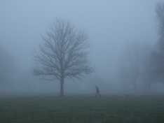 Origineel van Foggy Walk