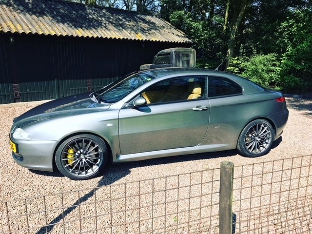 alfa gt