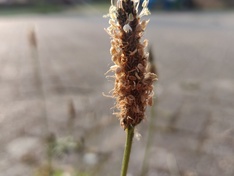 op6-2